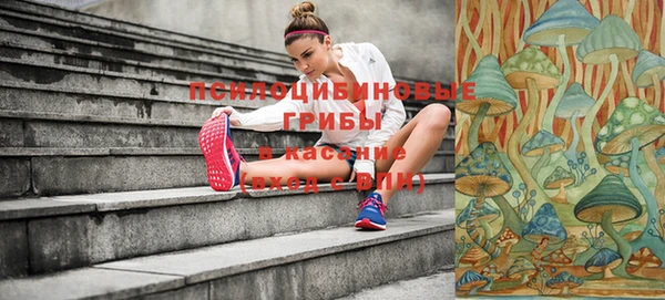 молекула духа Щигры